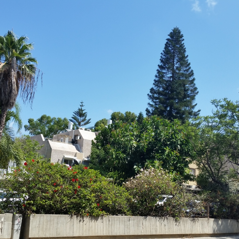 A house for sale in Ramat Aviv Gimel, TelAviv Luxury real estate Israel Homes and properties